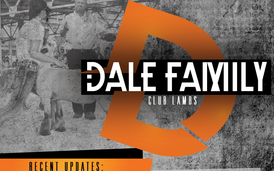 Dale Family Club Lambs