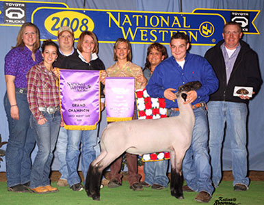 Grand Champion Market Lamb National Western Stock Show