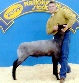 Reserve Division Three Denver