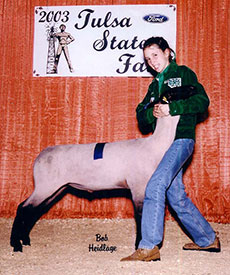 1st Place Class 8 Crossbreds Tulsa State Fair